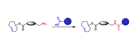 TCO-Carboxyl/Carbonyl Reactive（TCO-羧基/羰基反应）